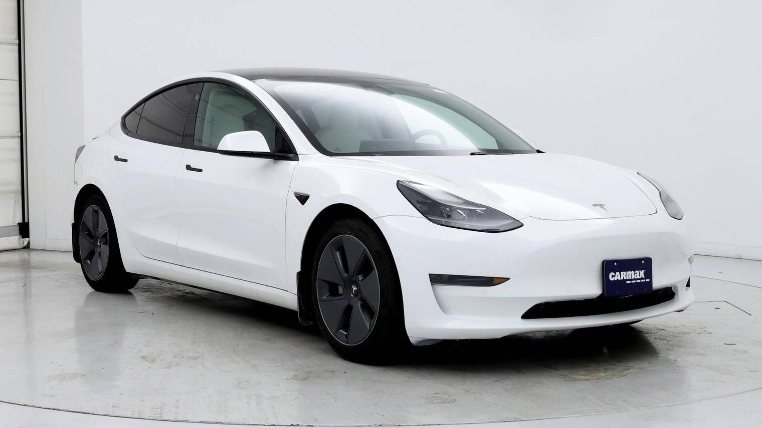 TESLA MODEL 3 2021 5YJ3E1EA9MF025119 image